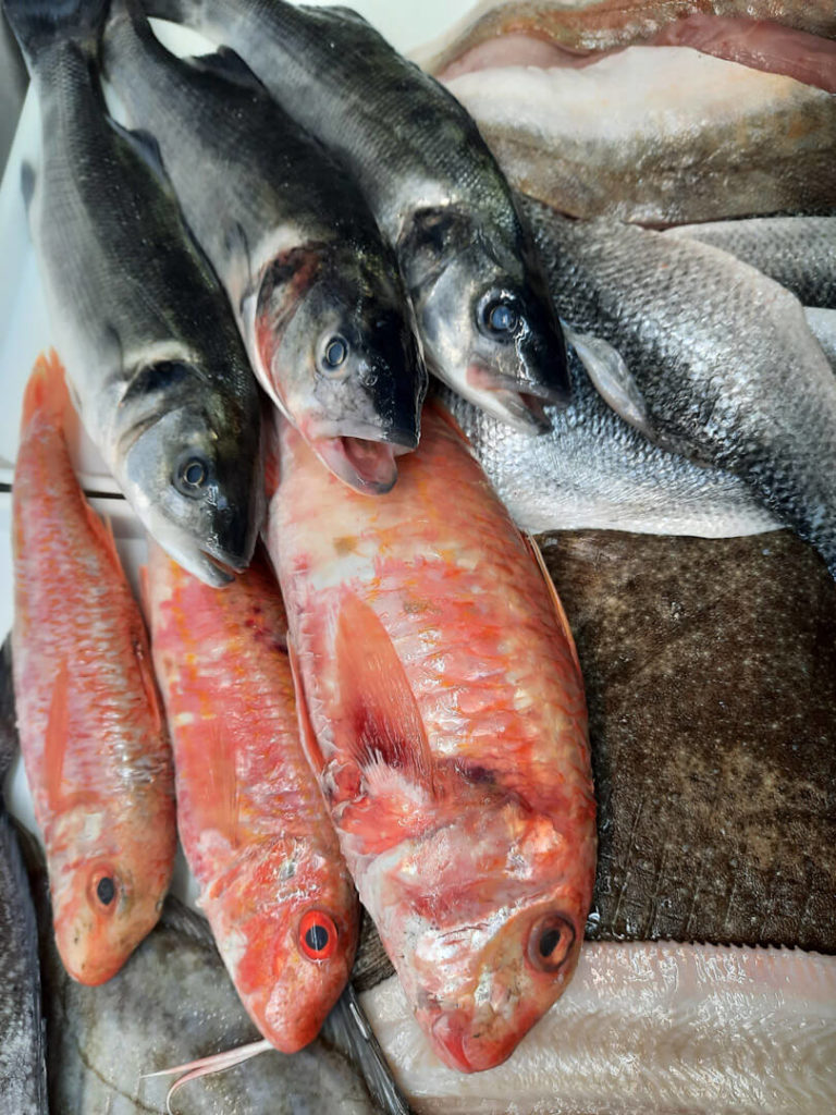 A crate of the day's catch on ice, freshly landed from a Plymouth day-boat